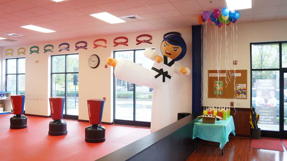 Tiger World Class Taekwondo & Family Martial Arts Birthday Decorations and Balloons