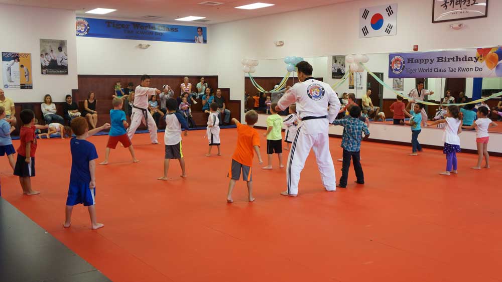 Tiger World Class Taekwondo & Family Martial Arts Birthday punching