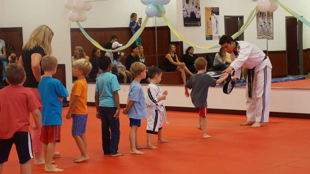 Tiger World Class Taekwondo & Family Martial Arts Birthday Lesson
