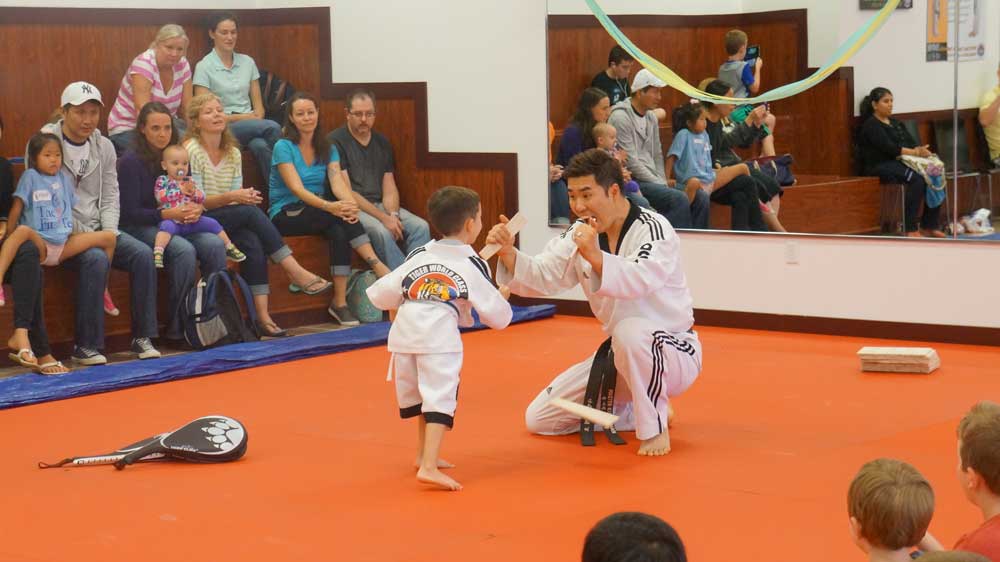 Tiger World Class Taekwondo & Family Martial Arts Birthday Party board breaking